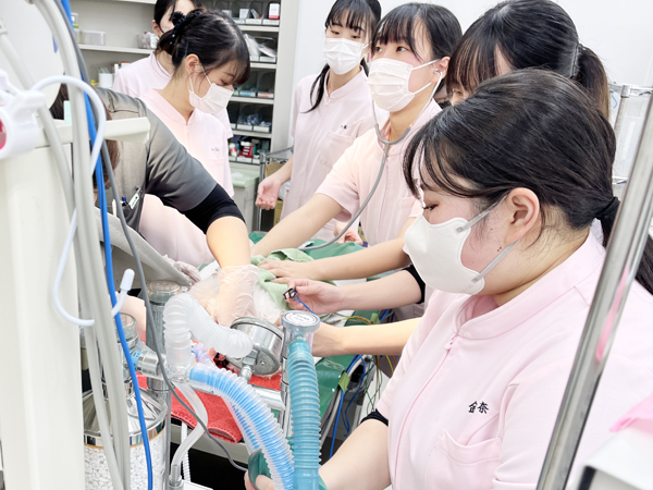 ☆歯石除去手術☆